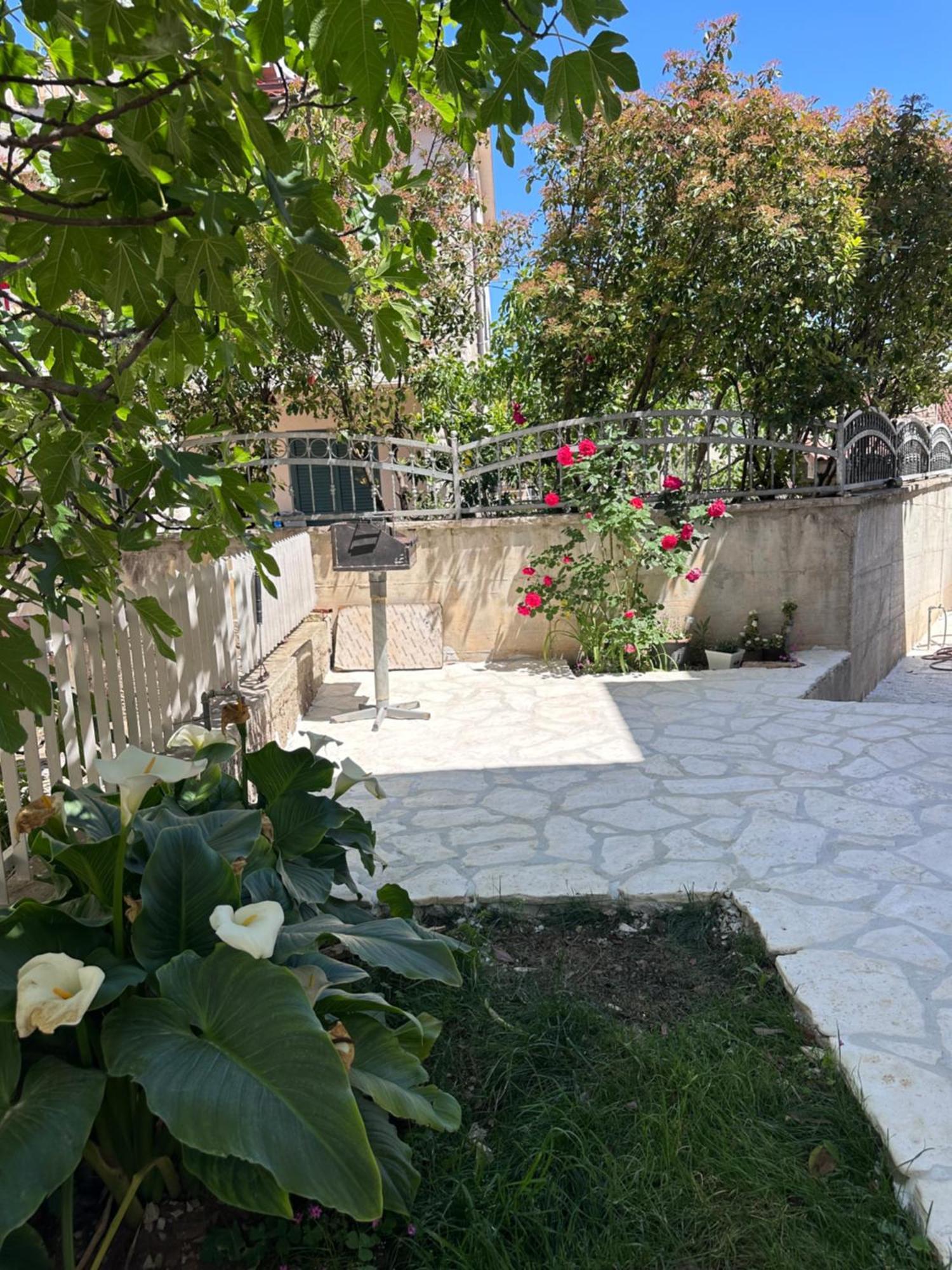 Apartment Antea